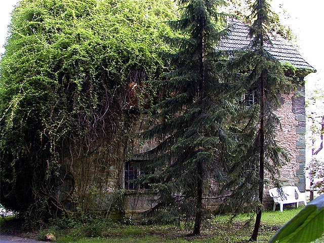Backs Risse