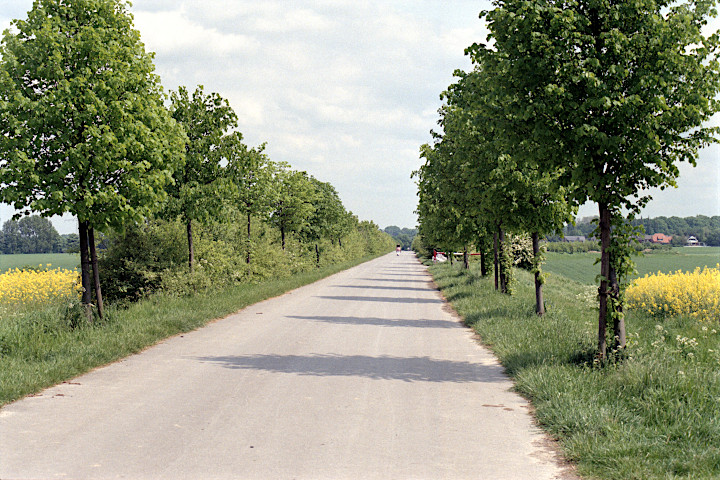 das Rennefeld - der Weg über den Rückhaltedamm