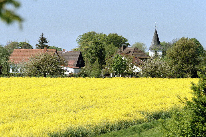 Meiningsen vom Rennefeld aus