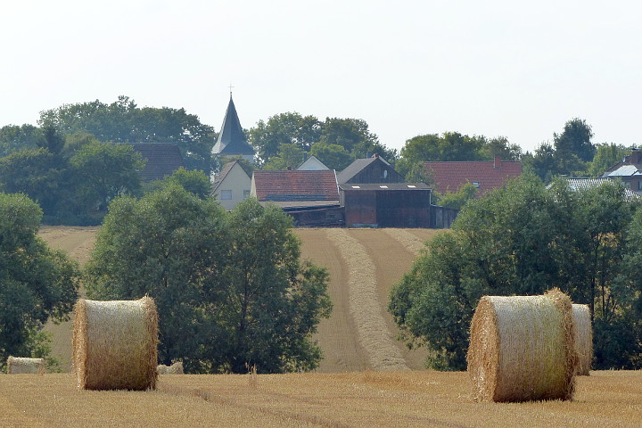 Meiningsen aus der Ferne