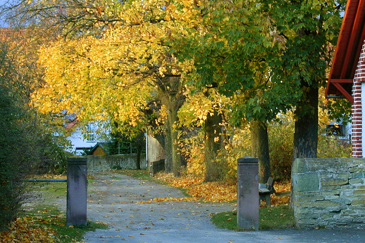 Meiningsen im Herbst