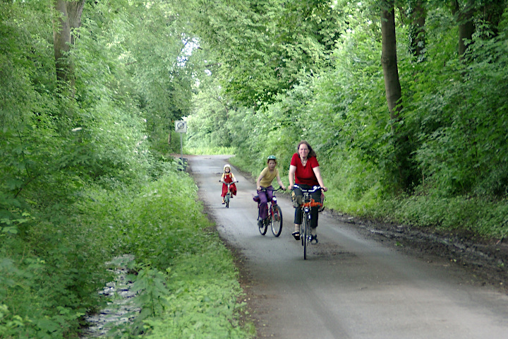 der Hohlweg im Frühling