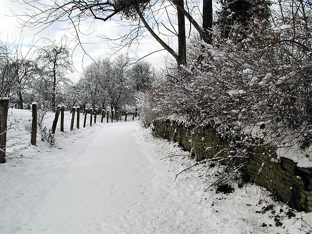 der Deiweg in Richtung Epsingsen