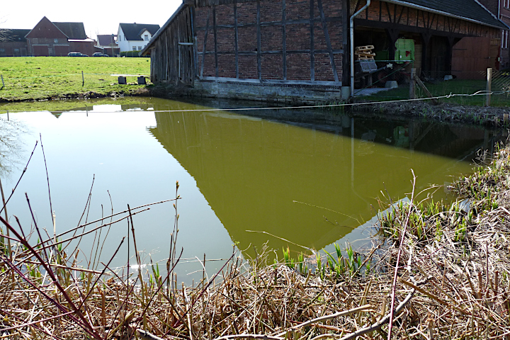Böhmers Teich