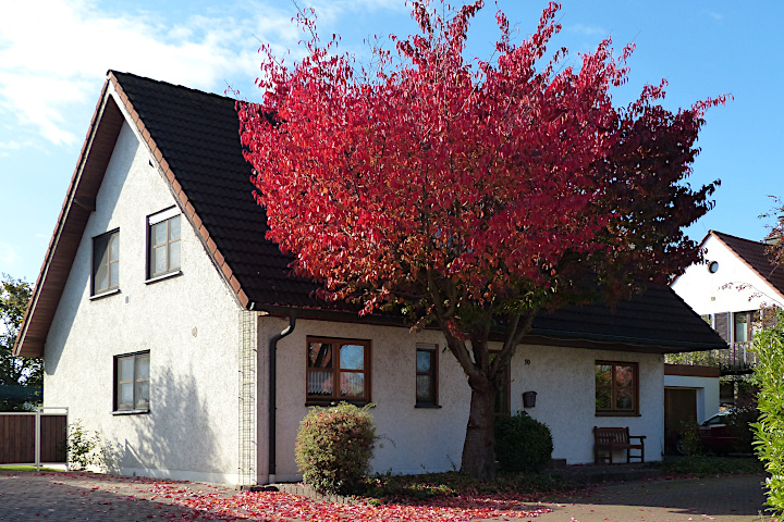 in Meiningsen hat der Herbst begonnen