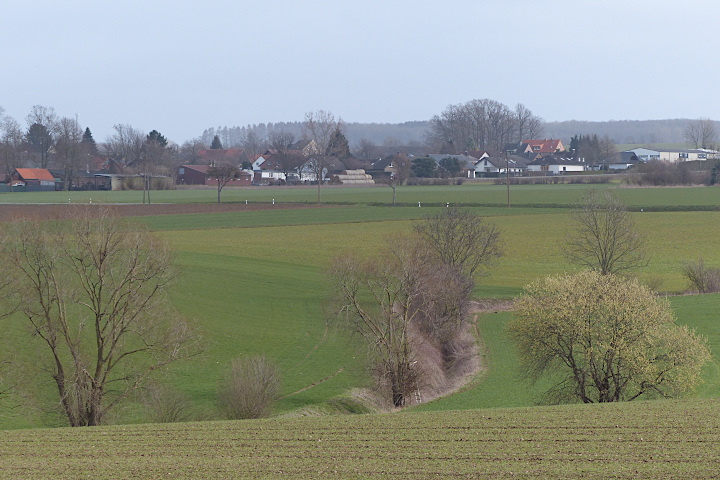 Deiringsen auf dem ansteigenden Haarstrang vom Rennefeld aus gesehen