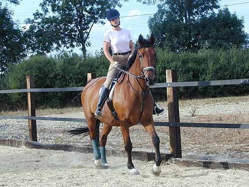 Claudia in der Reitstunde