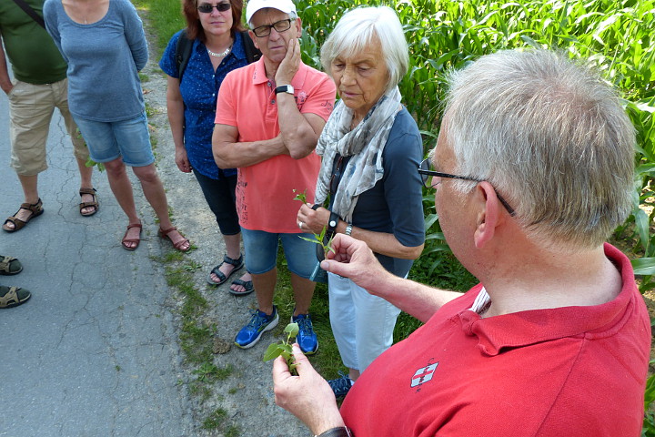 Kulturwanderung 2017