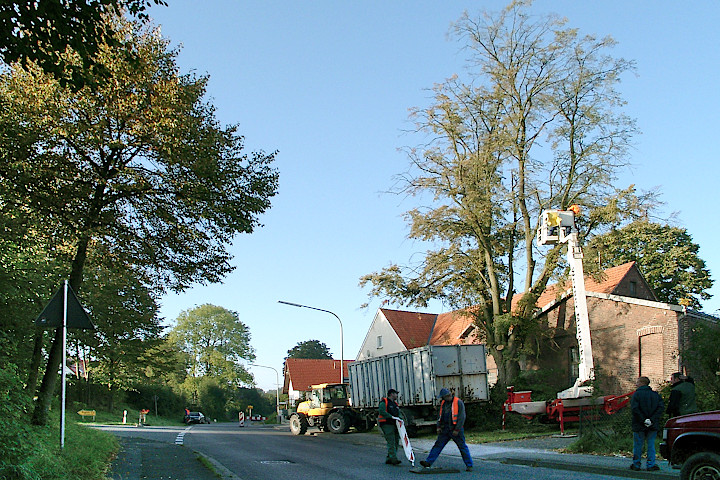 die "Säger" am Werk