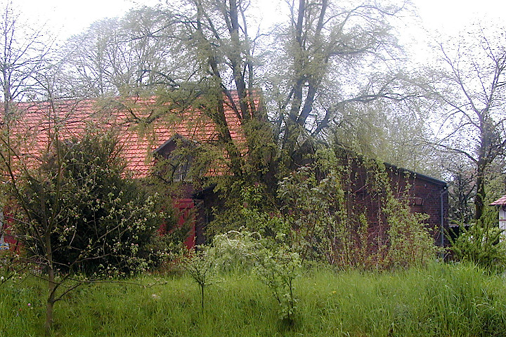 die große Linde vor der Schmiede