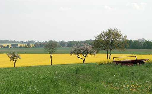 gelb ist die dominierende Farbe am Vatertag