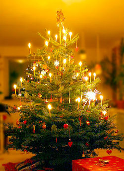 Weihnachtsbaum (http://de.wikipedia.org)