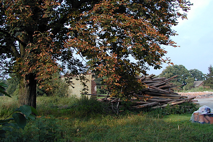 Abriss Hof Blumendeller