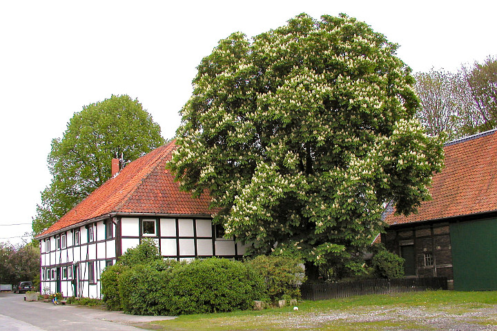 Wohnhaus von Westen aus