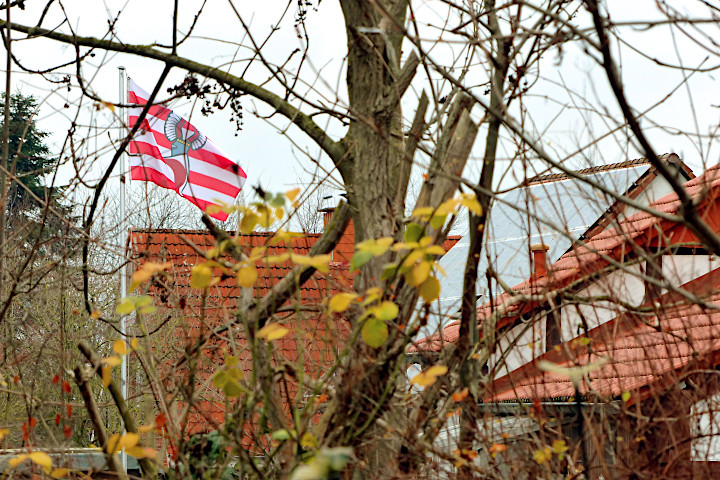 Meiningser Flagge