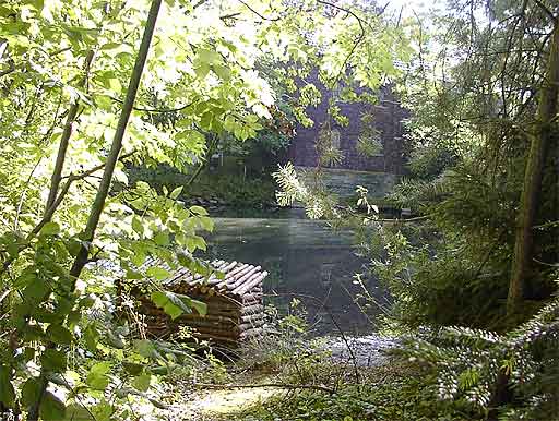 Dorfteich in Röllingsen am 19.09.2001