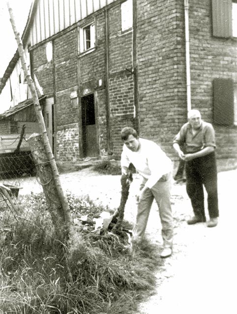 Kranzbinden für das Schützenfest